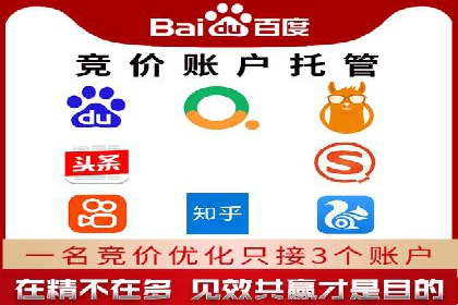 探索百度竞价账户托管的奥秘：多行业成功经验分享