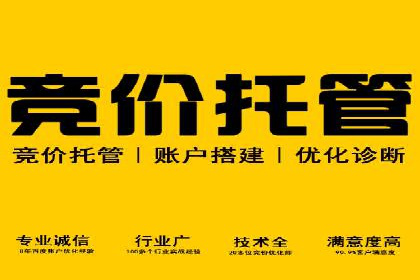 SEM运营公司案例解析：效果营销之道